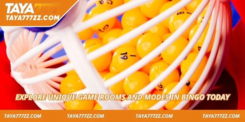 Explore unique game rooms and modes in Bingo today